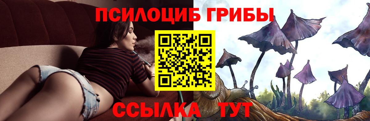 Псилоцибиновые грибы мухоморы Медногорск